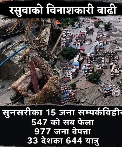 ताजा update ५४७ शव फेला, सुनसरीका १५ सहित ९७७ जना अझै बेपत्ता; ३,७४२ जनाको उद्धार